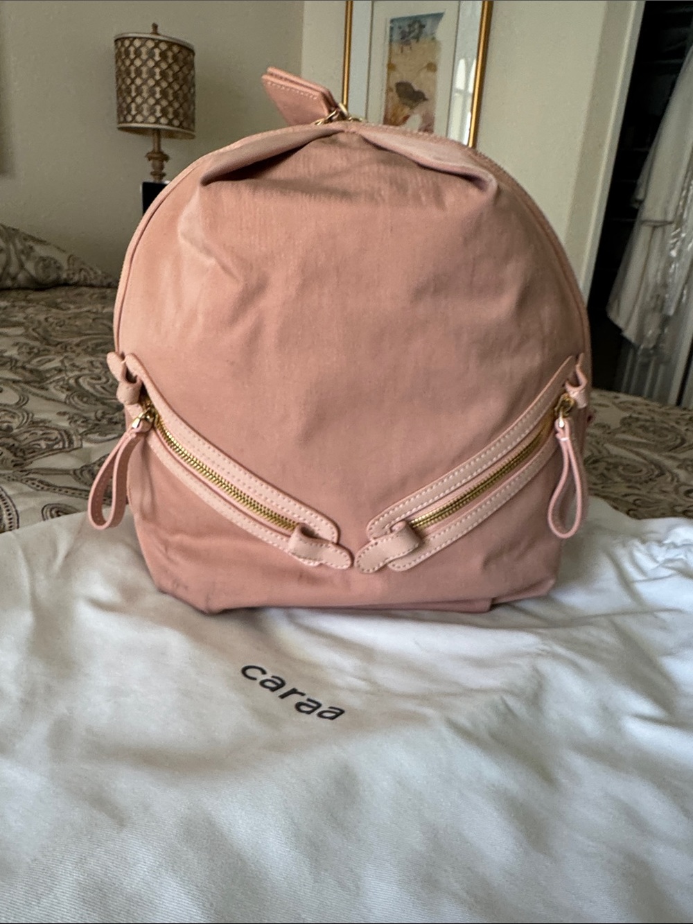 caraa Dusty Pink Mini Backpack with Gold Hardware